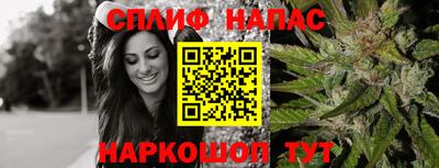 стафф Пугачёв