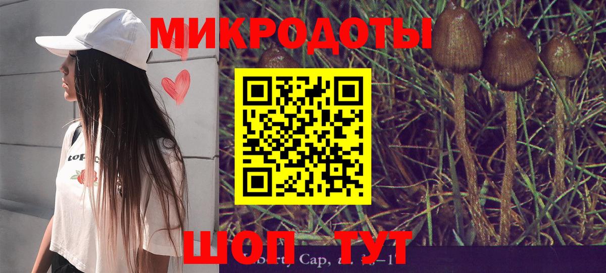 Галлюциногенные грибы Magic Shrooms  Вход с VPN  Северобайкальск  Псилоцибиновые грибы GOLDEN TEACHER 
