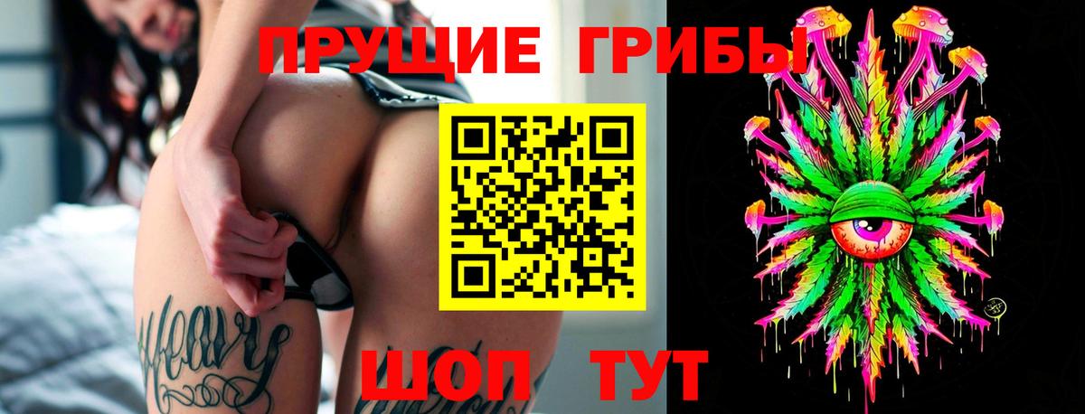Псилоцибиновые грибы ЛСД Северобайкальск